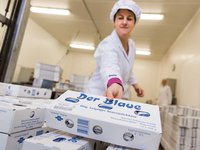 Käserei Lehmann Blauschimmelkäse "Der Blaue" 