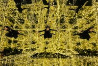 Kunstkraftwerk