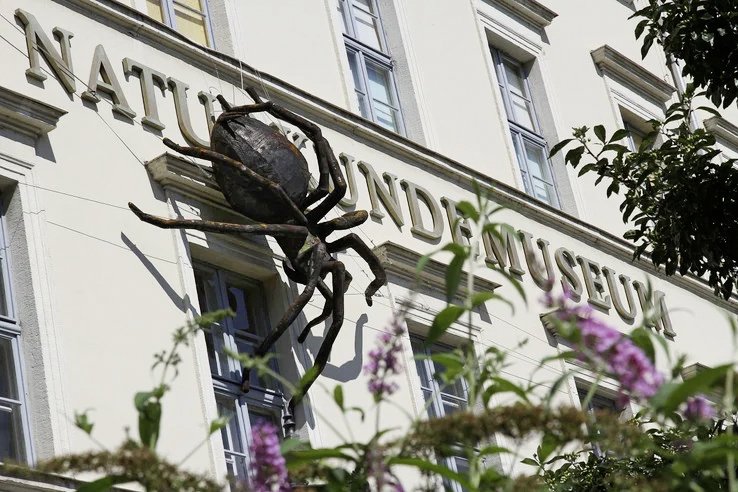 Die markante Spinne am Naturkundemuseum ist namensgebend für die Abschlussausstellung