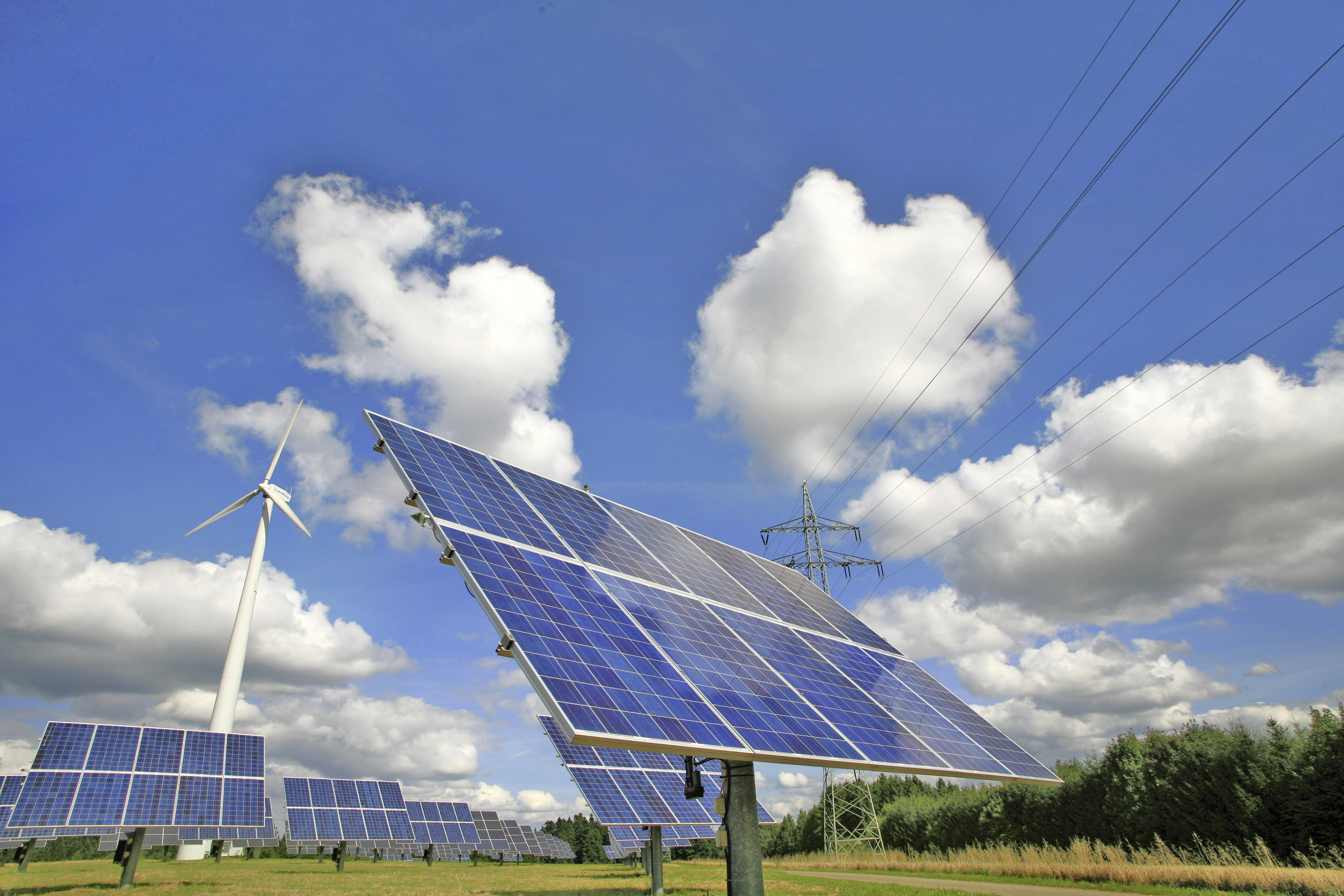 zusehen. Solarpark im Hintergrund ein Windrad 