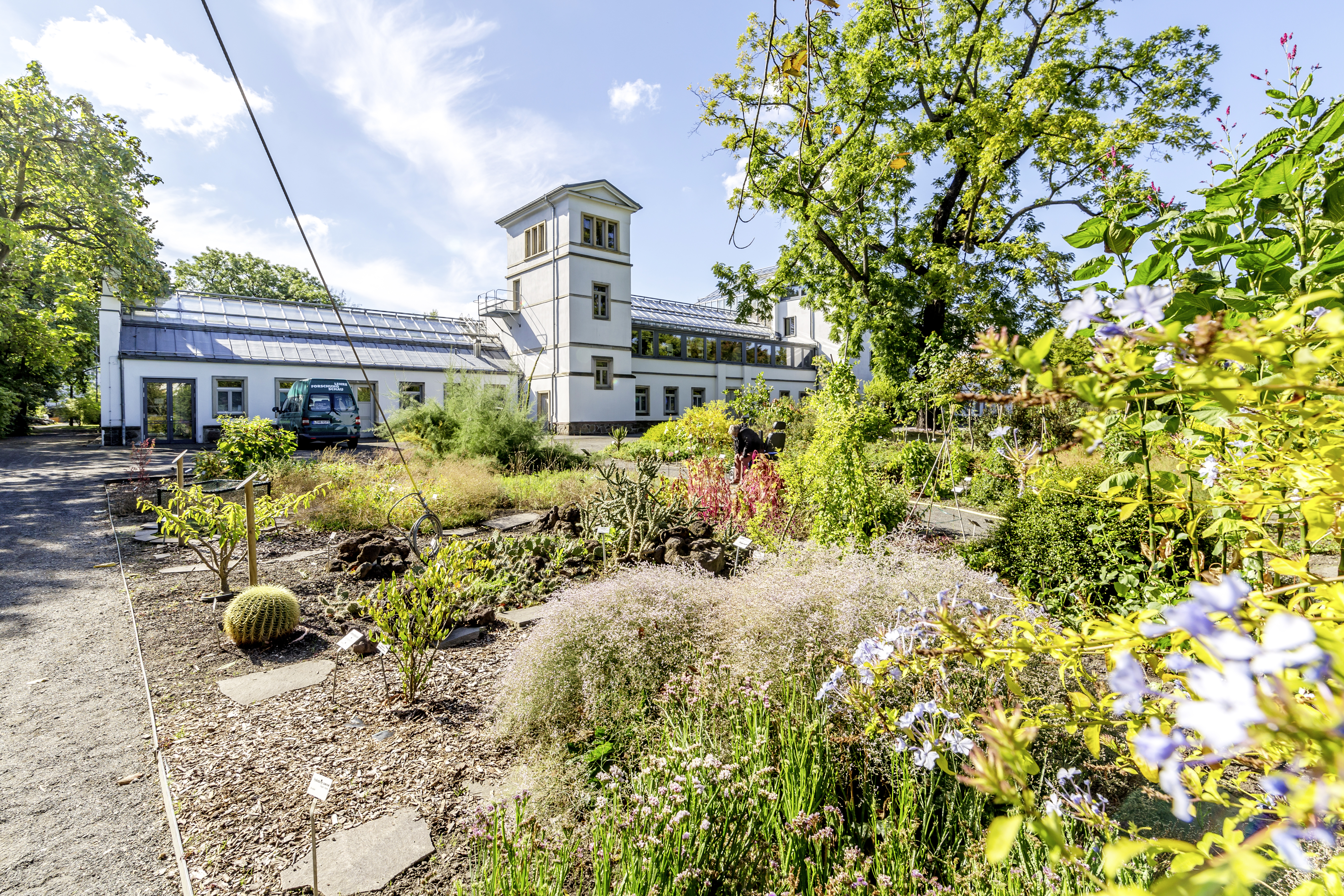 zusehen ein Teil vom Botanischen Garten 