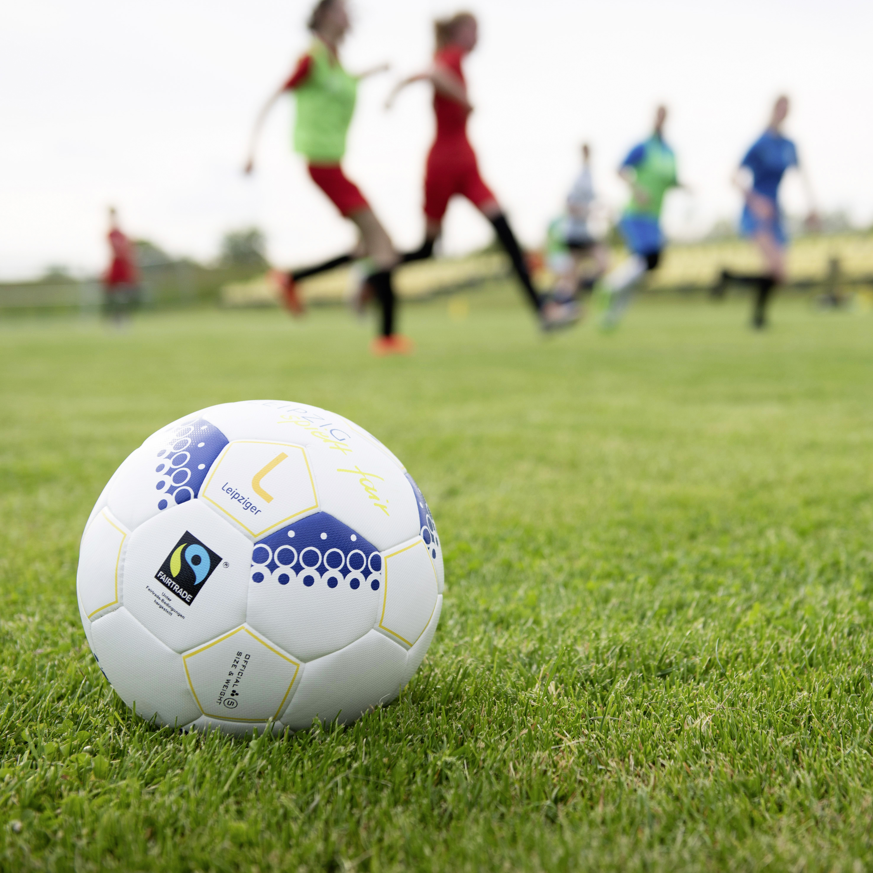 zusehen ein Fußball auf einem Rasenplatz, Hintergrund Menschen die trainieren 