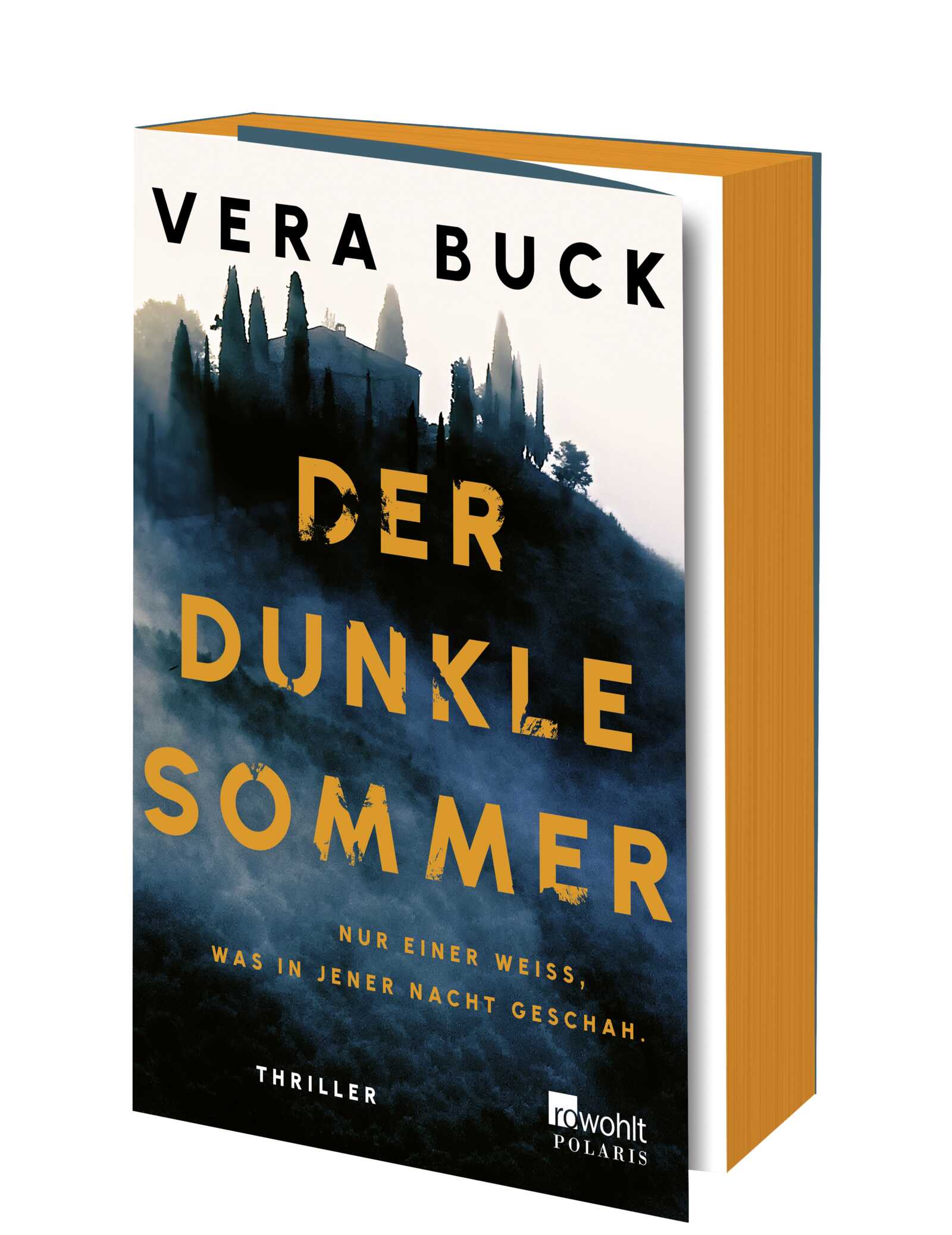 Vera Buck - Der dunkle Sommer