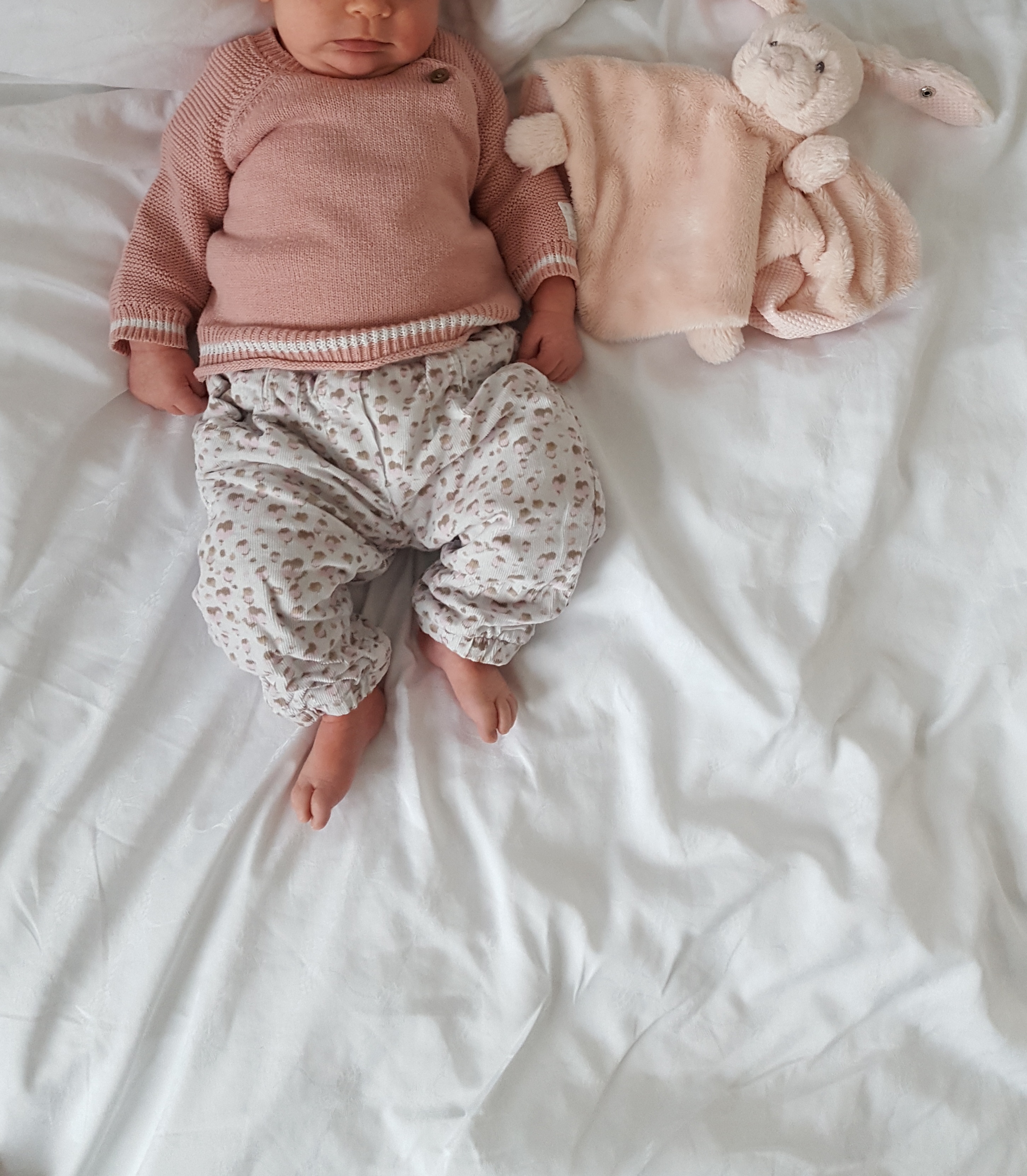 Little Closet