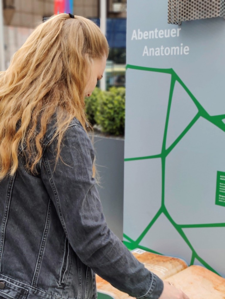 Jede Station vermittelt Wissen über Anatomie, Gesundheit und Bewegung anhand anschaulicher Materialien und Modelle