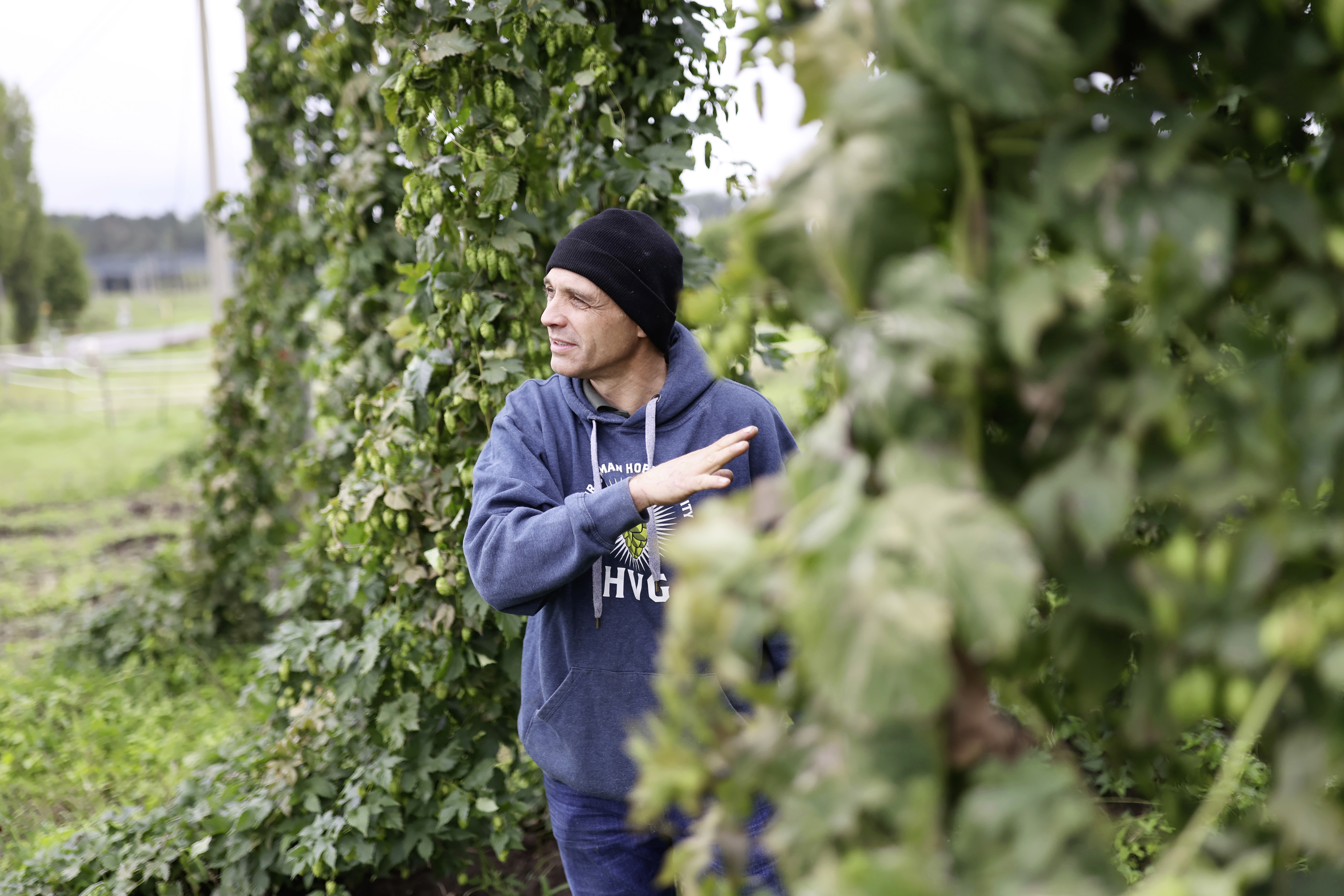 zusehen:Christian Berthold in seinem Hopfengarten