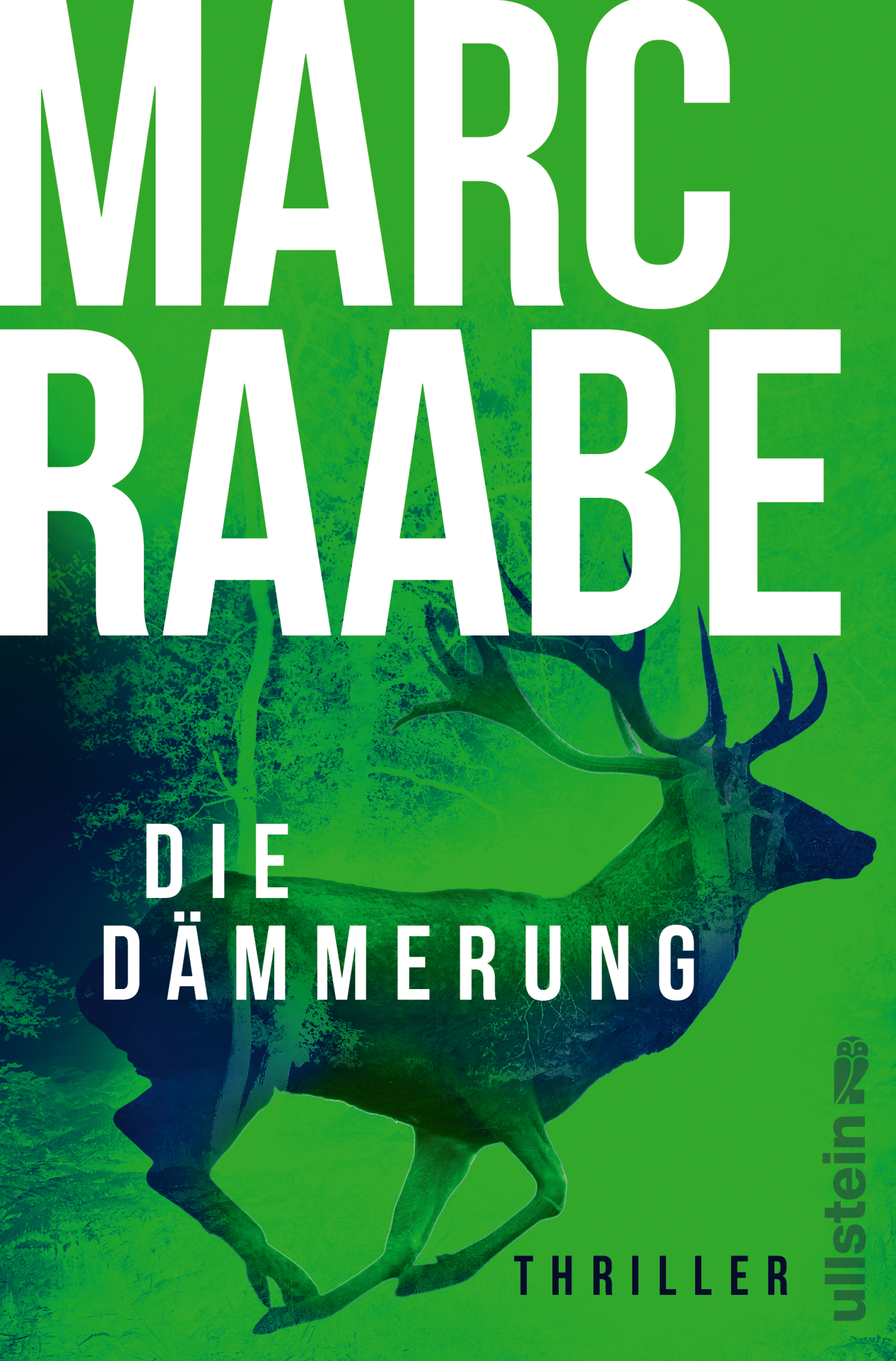 Marc Raabe - Die Dämmerung
