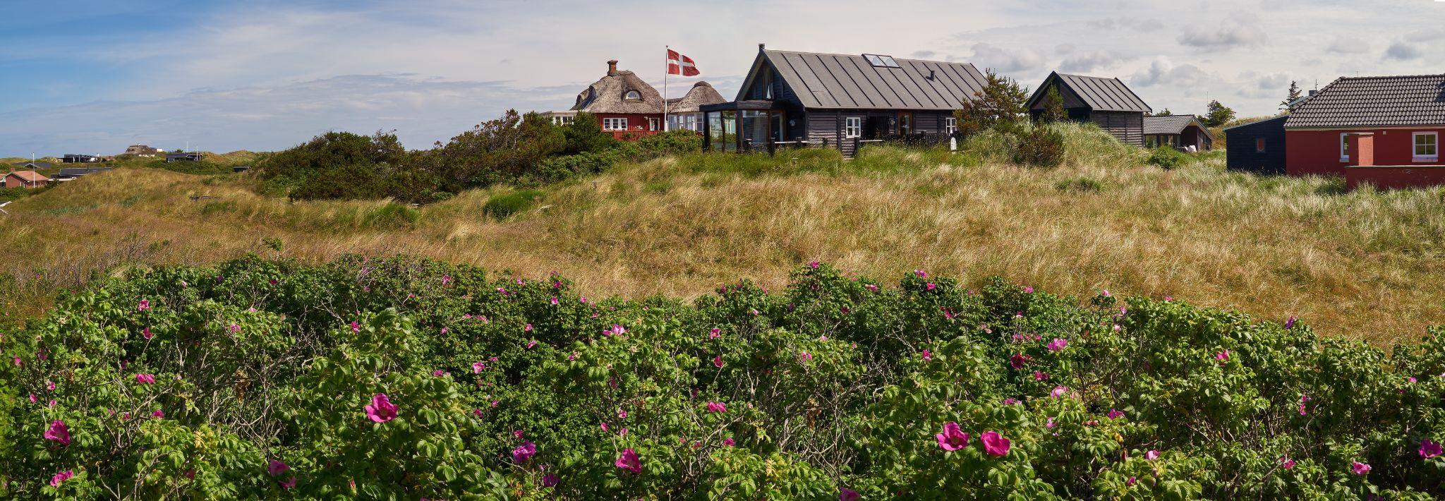 Ferienhäuser in Dänemark